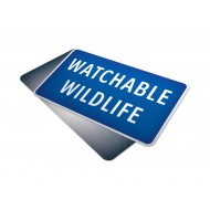 Watchable Wildlife