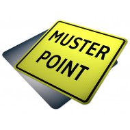 Muster Point (Fluorescent)
